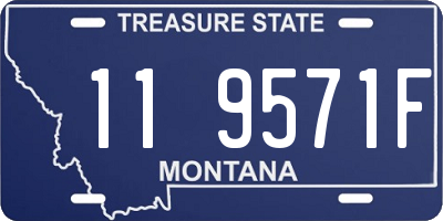 MT license plate 119571F