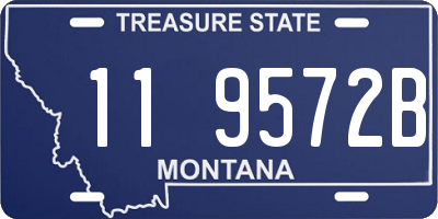 MT license plate 119572B