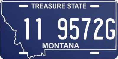 MT license plate 119572G