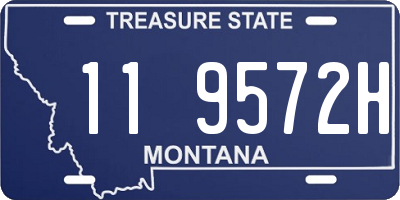 MT license plate 119572H