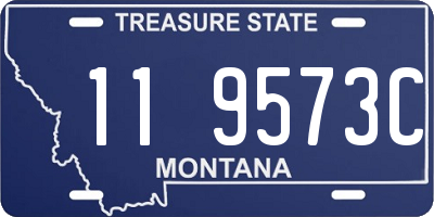 MT license plate 119573C