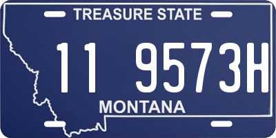 MT license plate 119573H