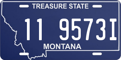 MT license plate 119573I