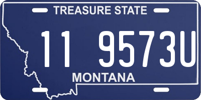 MT license plate 119573U