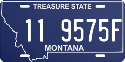 MT license plate 119575F