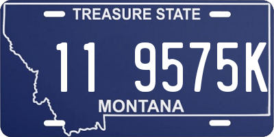 MT license plate 119575K