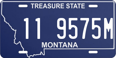 MT license plate 119575M