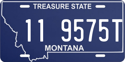 MT license plate 119575T