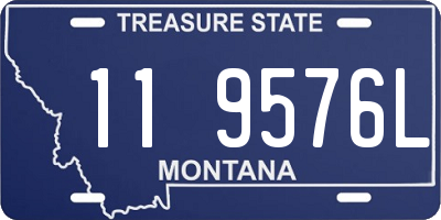 MT license plate 119576L