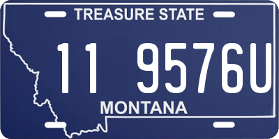 MT license plate 119576U