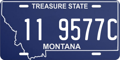 MT license plate 119577C