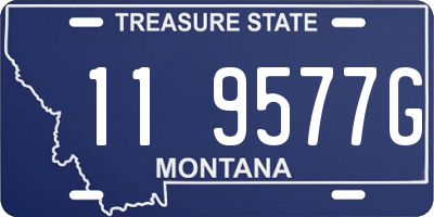 MT license plate 119577G