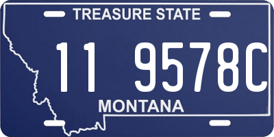 MT license plate 119578C