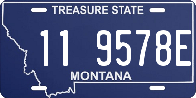 MT license plate 119578E