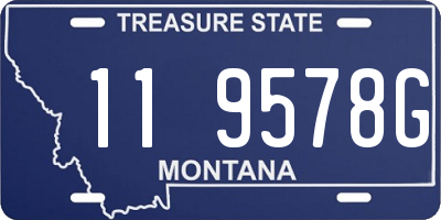 MT license plate 119578G