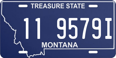 MT license plate 119579I