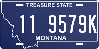 MT license plate 119579K