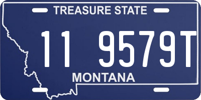 MT license plate 119579T