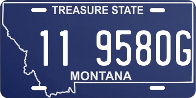 MT license plate 119580G