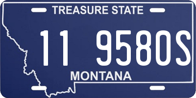 MT license plate 119580S
