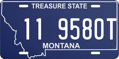 MT license plate 119580T