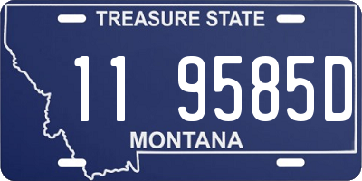 MT license plate 119585D