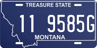 MT license plate 119585G
