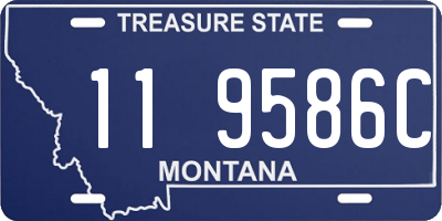 MT license plate 119586C