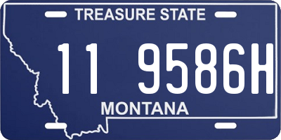 MT license plate 119586H