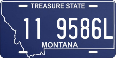 MT license plate 119586L