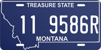 MT license plate 119586R