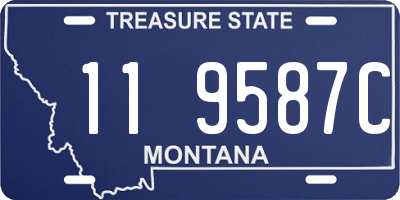 MT license plate 119587C