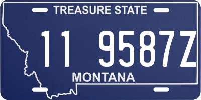 MT license plate 119587Z