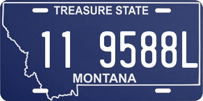 MT license plate 119588L