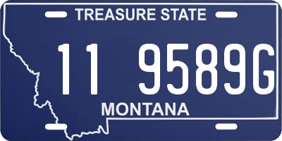 MT license plate 119589G