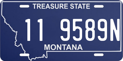 MT license plate 119589N