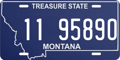 MT license plate 119589O