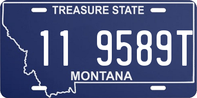 MT license plate 119589T