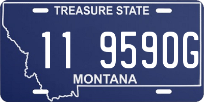 MT license plate 119590G