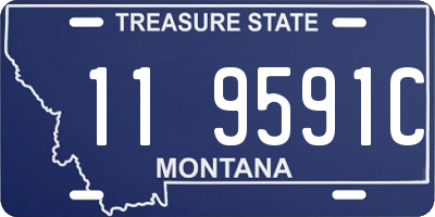 MT license plate 119591C