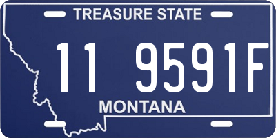 MT license plate 119591F