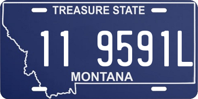 MT license plate 119591L