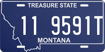 MT license plate 119591T