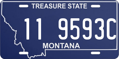 MT license plate 119593C