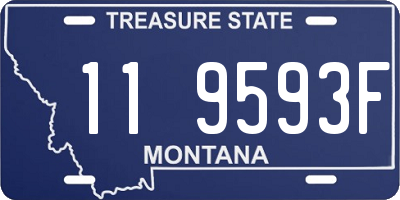 MT license plate 119593F