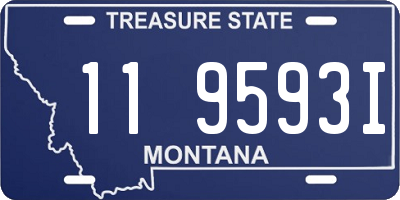 MT license plate 119593I