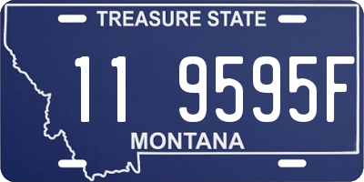 MT license plate 119595F