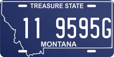 MT license plate 119595G