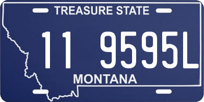 MT license plate 119595L