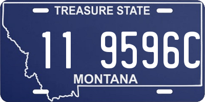 MT license plate 119596C